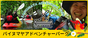 https://www.royalmarinepalace.com/wp-content/uploads/2018/07/painumaya_act.jpg